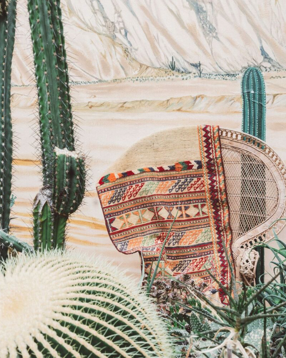 Tropical garden of Antwerp 1