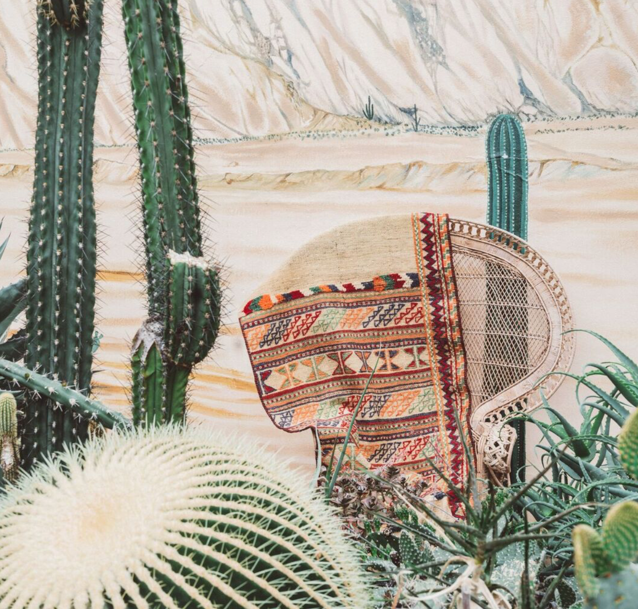 Tropical garden of Antwerp 1